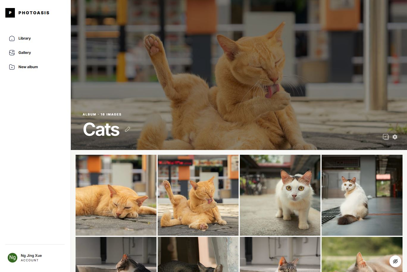 Photoasis's screenshot
